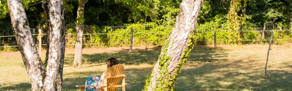 Coin de repos sous les bouleaux, au domaine Equilibrium