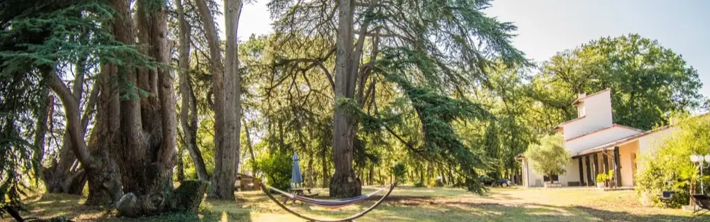 Le domaine Equilibrium, en pleine nature à Saussens