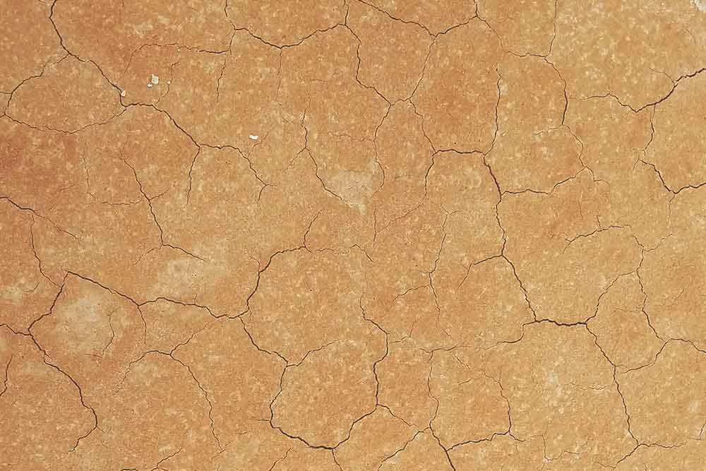 image texture terre